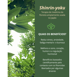 Shinrin-yoku-Banho de Floresta I Almoço na Ribeira,  Ritual do Chá, Marruge