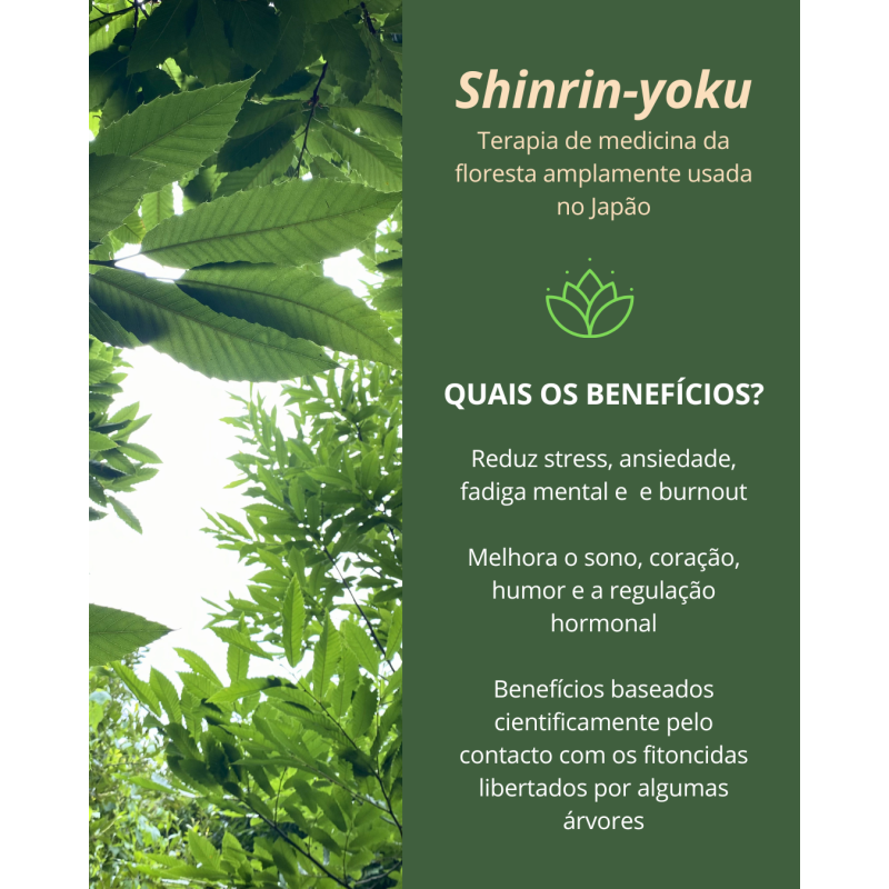 Shinrin-yoku-Banho de Floresta I Almoço na Ribeira,  Ritual do Chá, Marruge